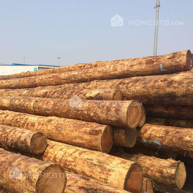 Douglas Fir Logs Wood  Construction Timber Lumber