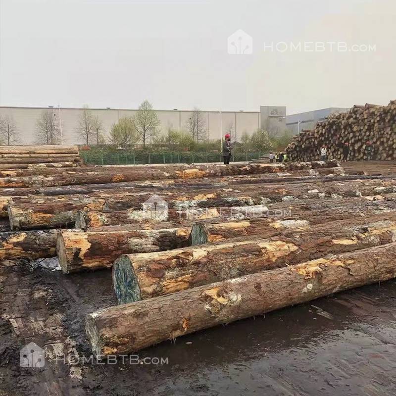 Southern Yellow Pine Construction Sawn Timber Lumber Wood