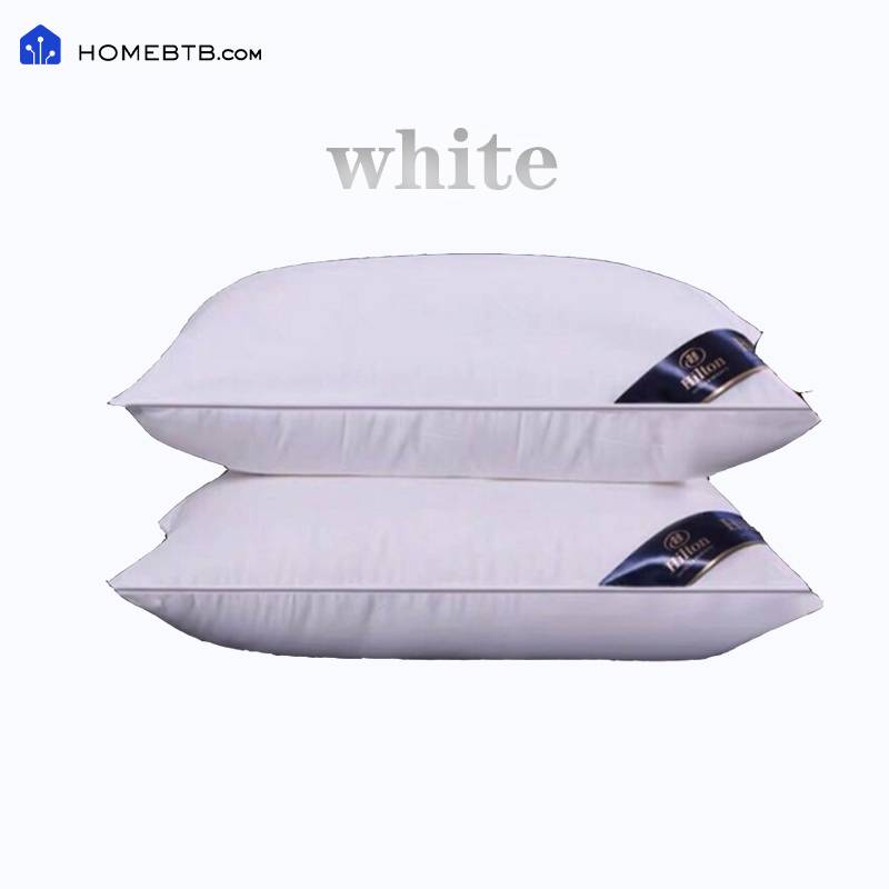 Homebtb HomeJI Cervical Protection Pillow