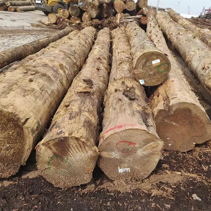 Hemlock Logs Construction Timber Lumber WoodproductInfoLeftImg