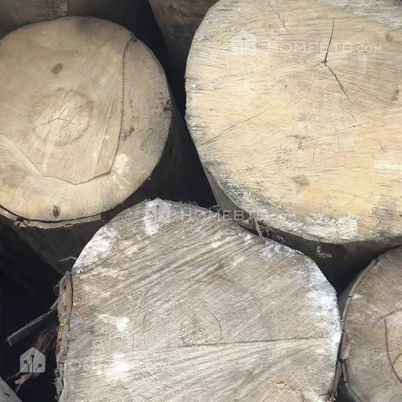 Poplar Wood Logs Construction Timber Lumber
