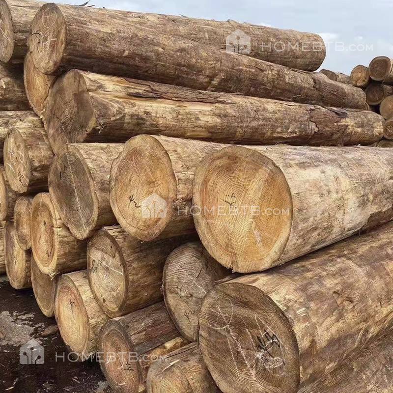 Japanese Cedar  Construction Sawn Timber Lumber Wood