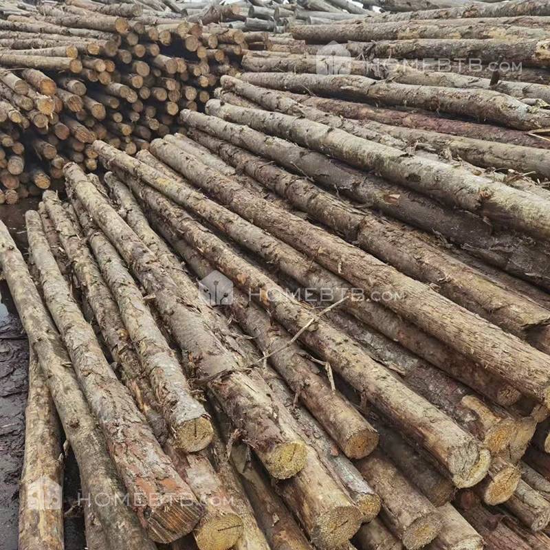 Australian Pine Firewood Construction Sawn Timber Lumber Wood