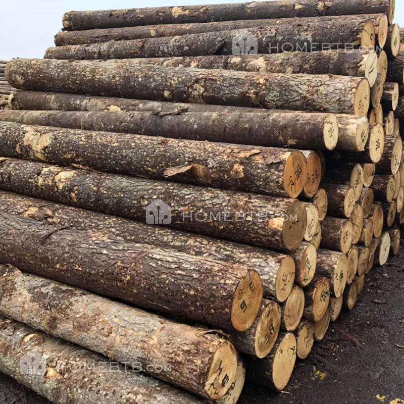White Pine Logs Construction Timber Lumber Wood