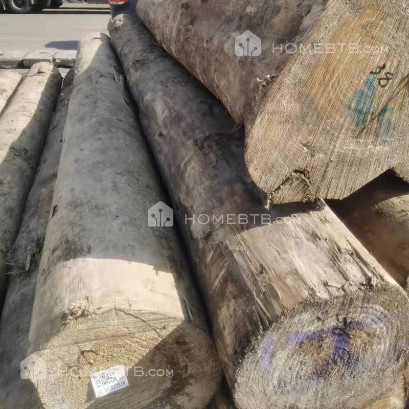Pinus Radiata Monterey Pine  Logs Construction Timber Lumber Wood