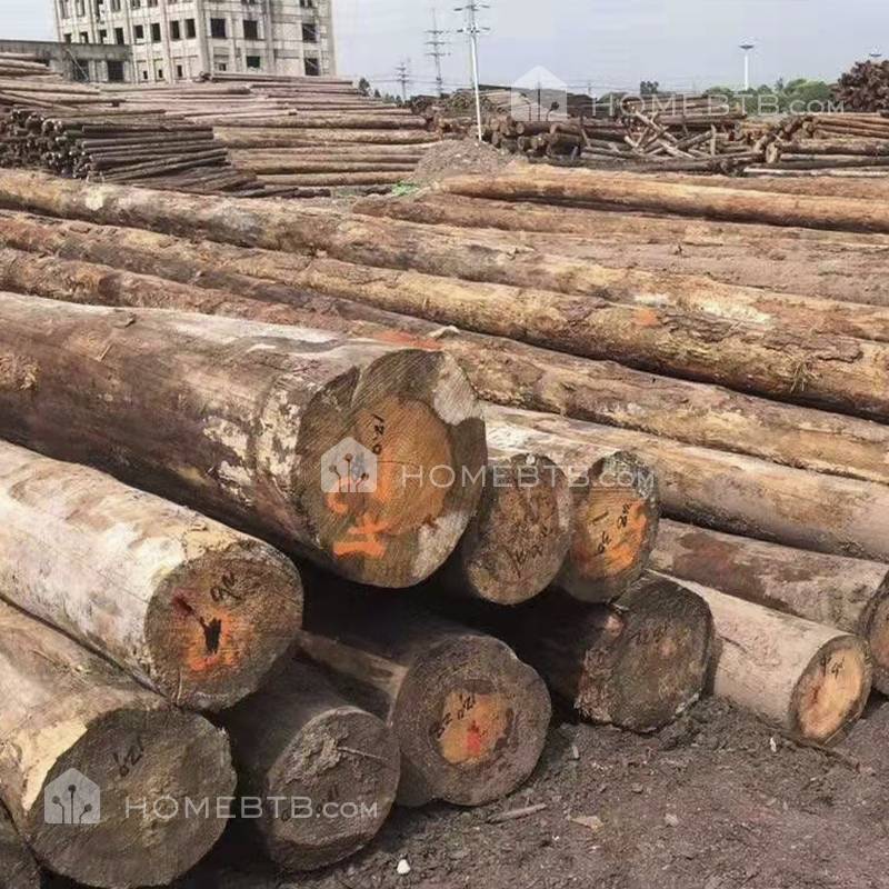 Pinus Sylvestris Wood Logs Construction  Timber Lumber