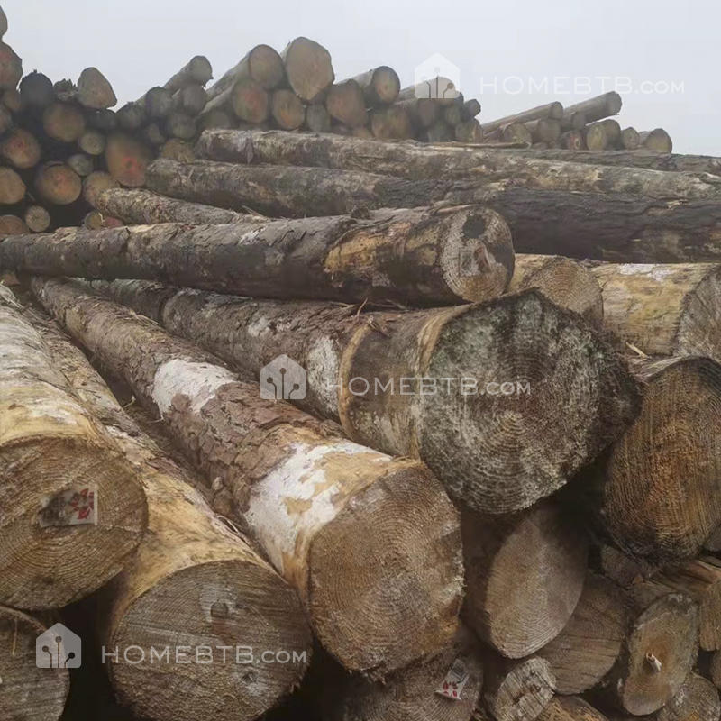 Southern Yellow Pine Logs Construction Timber Lumber Wood