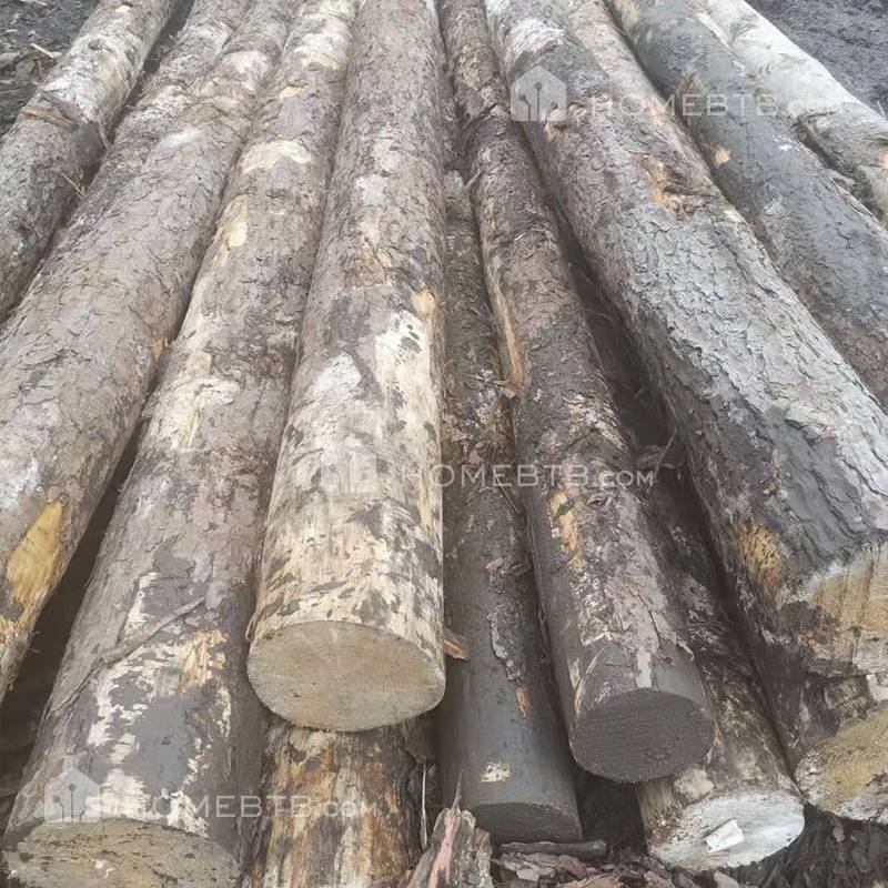 Southern Yellow Pine Logs Construction Timber Lumber Wood