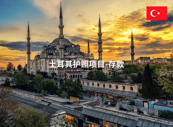 土耳其护照项目-存款